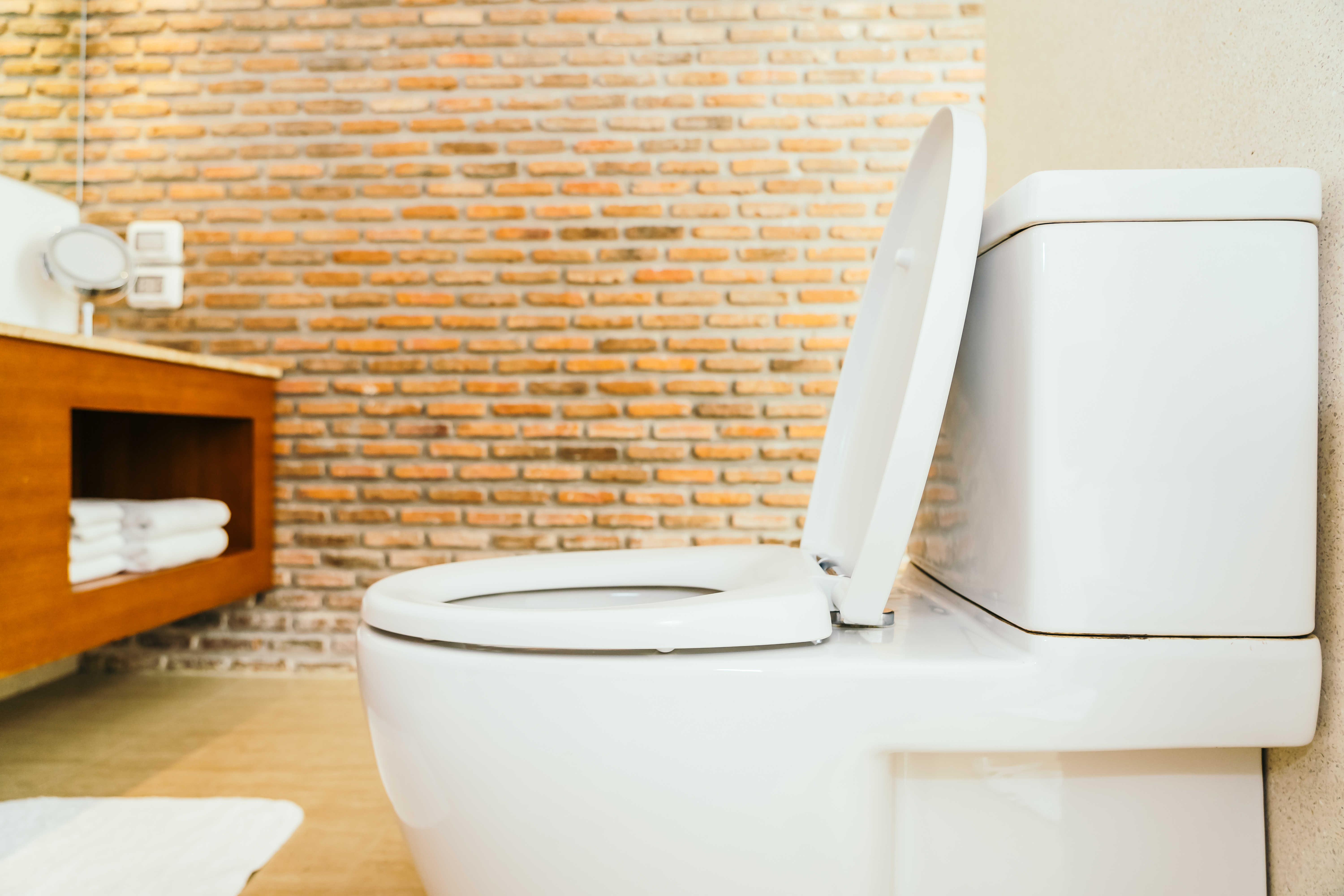 Il Fascino e la Funzionalità dei WC Monoblocco: Una Guida Completa
